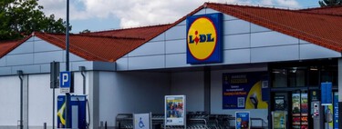 Mañana lunes, 11 de mayo, llega a Lidl la herramienta potente y barata para limpiar el jardín sin esfuerzo 