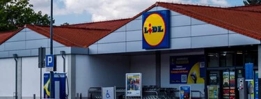 Hoy lunes, 11 de mayo, llega a Lidl la herramienta potente y barata para limpiar el jardín sin esfuerzo