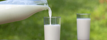 Qué es la leche sin lactosa y qué beneficios y contraindicaciones tiene