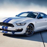 ¿Se ha dejado Ford abiertas las puertas del establo? Shelby Mustang GT 500: "confirmado" para 2017