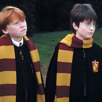 Aunque muchos dudan de ella, la serie de HBO Max de Harry Potter tiene todas las papeletas para ser mejor que las películas y este dato lo demuestra