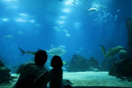 Oceanario Lisboa niños