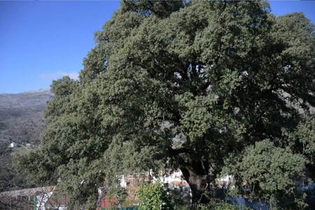Pueblo Blanco Bonito Andalucia Senderismo Buena Comida Escapada