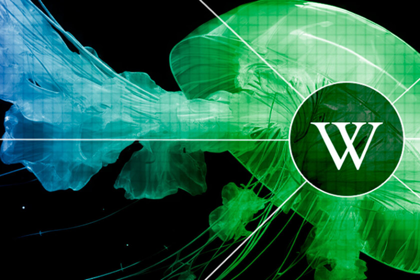 La negra ironía de Wikipedia: es una fuente valiosísima para la IA generativa y a la vez es lo que la está matando