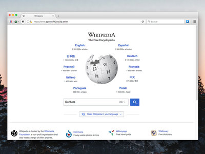 Wikipedia se vio obligada a 'desconectarse' en Europa este fin de semana tras un grave ataque DDoS