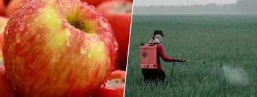 Pensávamos que as maçãs eram o alimento mais saudável; um novo estudo europeu acaba de mostrar o quão enganados estávamos 