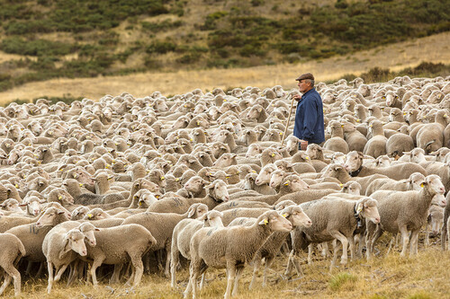 Valverde De La Sierra Jose Manuel Sanchez Miguel Josebarea6