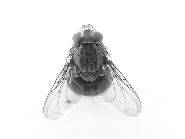 Pedro Miguel Aires Rq4yqnysike Unsplash