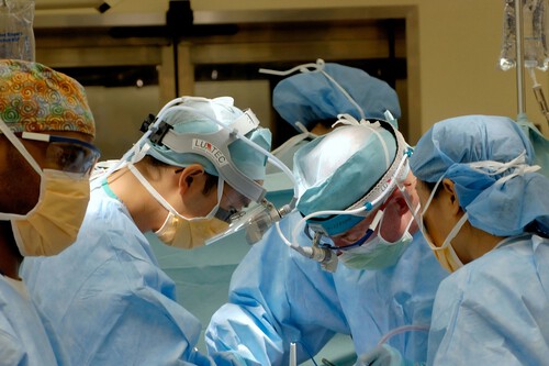 Imagem de capa | National Cancer Institute em Unsplash