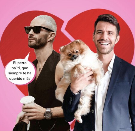 Pelayo Díaz y Andy McDougall rompen su relación tres años después de casarse: adiós a los planes de ser papás