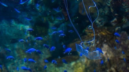 Ahora podemos explorar en silencio el océano con este robot sin motor y forma de anguila