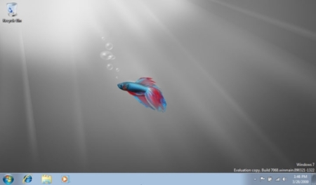 Windows 7 confirmado para este año