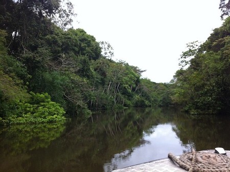 crucero amazonas peru