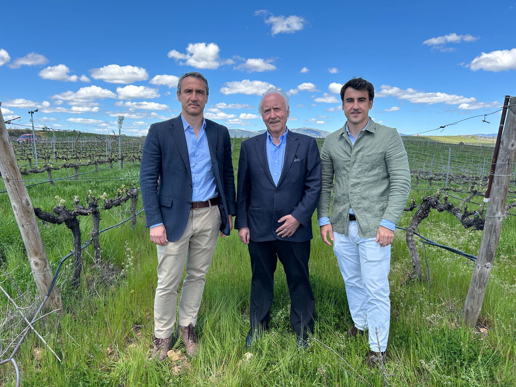 Les dijeron que "plantasen pingüinos" por querer hacer vino a 1.000 metros de altitud. Ahora tienen la bodega más famosa de Guadalajara