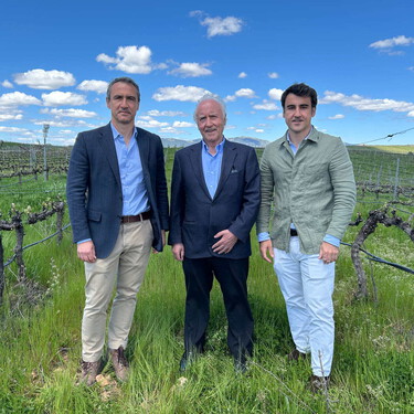 Les dijeron que "plantasen pingüinos" por querer hacer vino a 1.000 metros de altitud. Ahora tienen la bodega más famosa de Guadalajara
