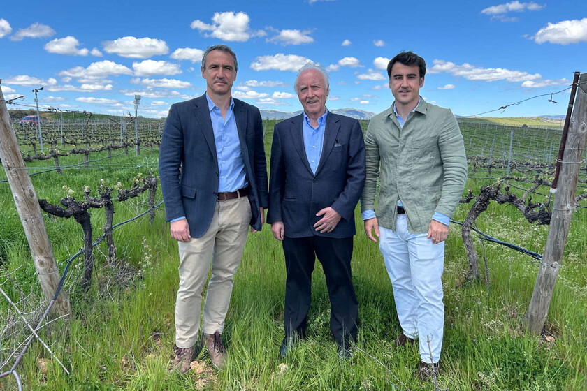Les dijeron que "plantasen pingüinos" por querer hacer vino a 1.000 metros de altitud. Ahora tienen la bodega más famosa de Guadalajara
