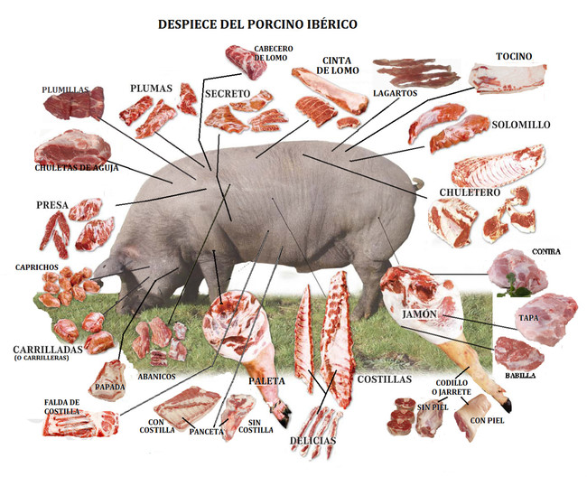 Guía práctica: los cortes del cerdo ibérico más sabrosos y en qué