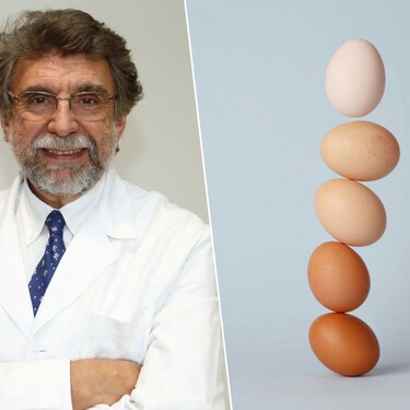 Antonio Escribano, médico especialista en nutrición: “Cinco huevos a la semana es una pauta válida para toda la vida. Aportan proteína, colina y nutrientes” 