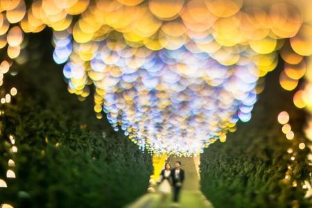 Takashi Kitajima, llevando el bokeh al extremo