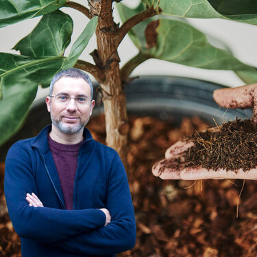 Antes de usar los posos de café o las cáscaras de huevo como abono, escucha a los expertos: “Las plantas no tienen un sistema digestivo como el nuestro” 