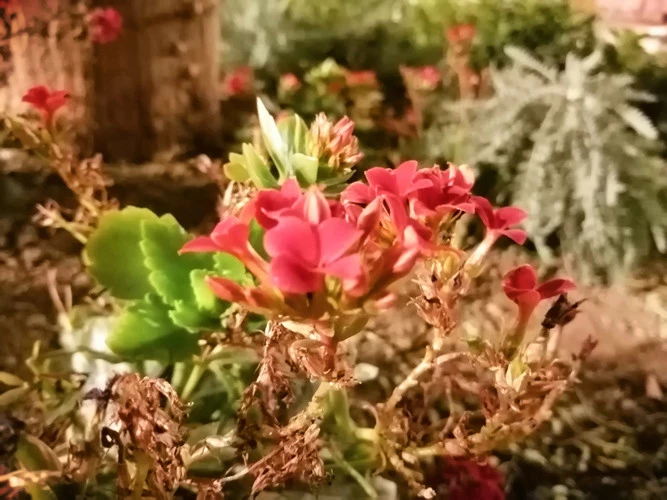 Foto de Fotos tomadas con el Honor 10 Lite (131/154)