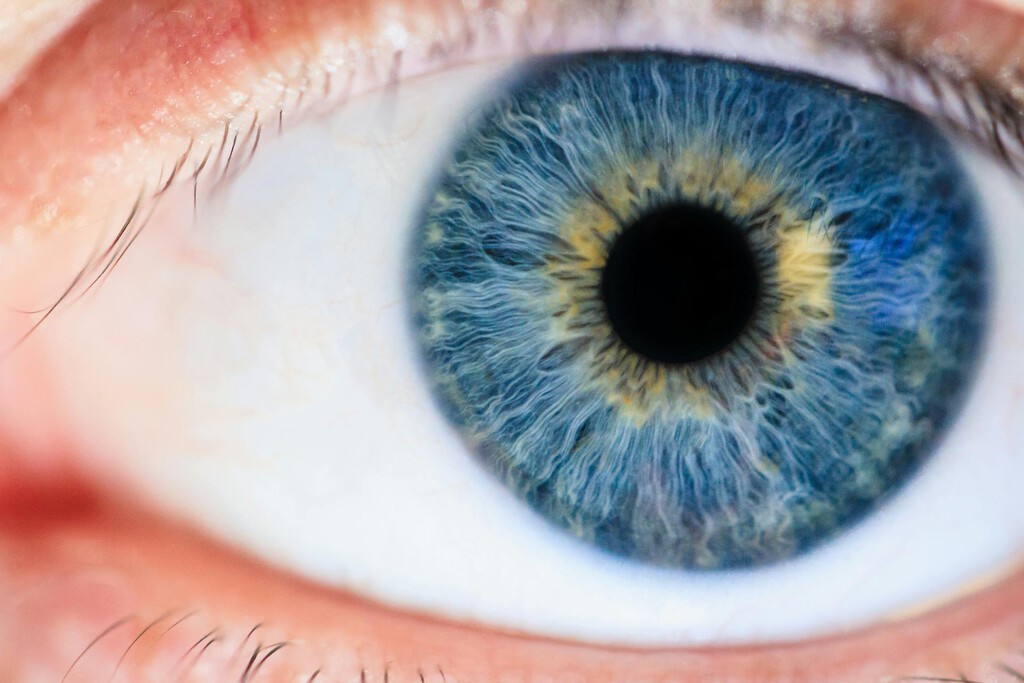 No hay nada que haga azules a los ojos azules. Si queremos entender por qué, tenemos que recurrir a la física