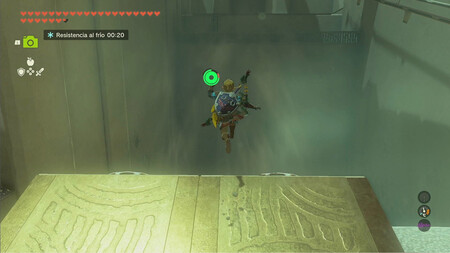 Zelda Totk Maia Masun 1