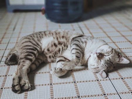 Si tienes dudas, consúltalo con la almohada: la siesta nos ayuda a procesar información para tomar mejores decisiones
