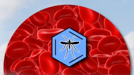 Comparte un poco de potencia de tu ordenador para combatir la malaria