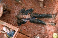 Tomatina 2009