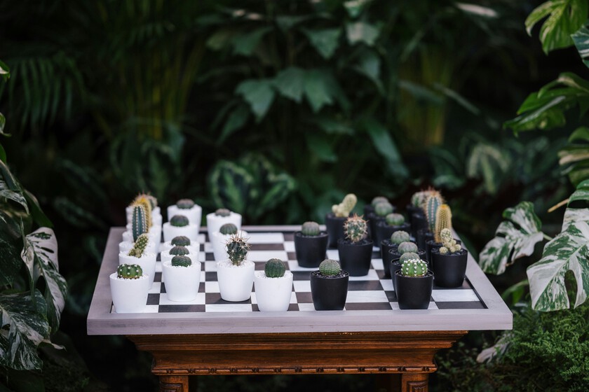Si hablas con tus plantas aunque todo el mundo piense que estés loco, la ciencia tiene algo que decirte: no estás tan loco