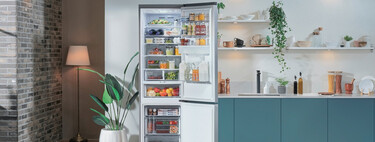 La rueda dentro de tu frigorífico antiguo no marca la temperatura: así puedes ajustarla para no pagar de más