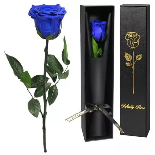 Yamonic Rosa Eterna San Valentin Regalos Mujer
