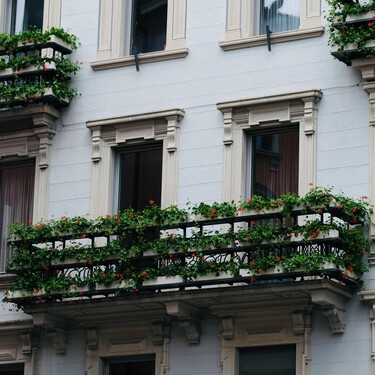 Cuatro plantas que convierten una terraza sofocante en un rincón mucho más agradable