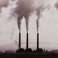 Hay muchas empresas que dicen ser "carbon neutral" o "carbon negative", en realidad no está claro que ayuden a reducir las emisiones de CO2