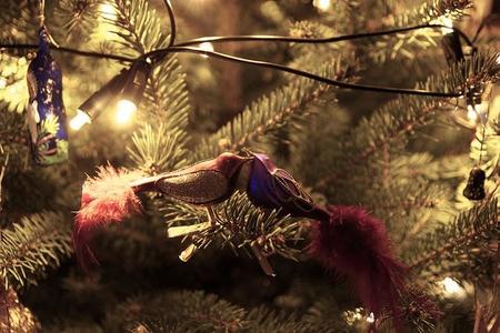 Las vacaciones de Navidad son un buen momento para concebir