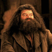 El legado de Robbie Coltrane es casi más grande que Hagrid, pero su nuevo actor respetará al gigante amable en la serie de Harry Potter 