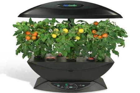 aerogarden 2