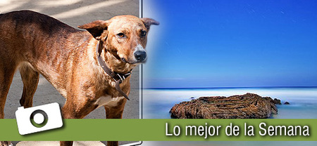 La última semana... en Xataka Foto