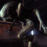 Cuando ya nadie creía en él, Sega acaba de anunciar Alien Isolation 2 con un teaser que ya apunta a un cambio clave