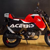 Nuevo récord de autonomía para una moto de combustión: más de 4.000 km sin repostar sobre una Honda Monkey