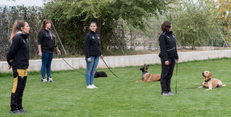 perros-test-entrenat