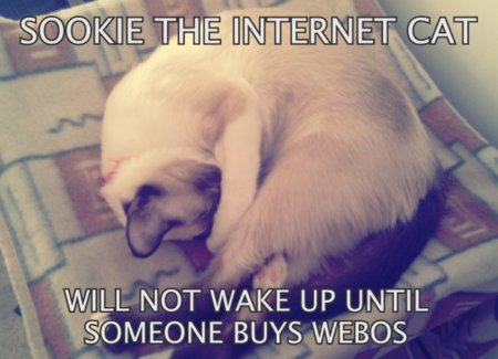 Internet is a series of Blogs (XCVIII)