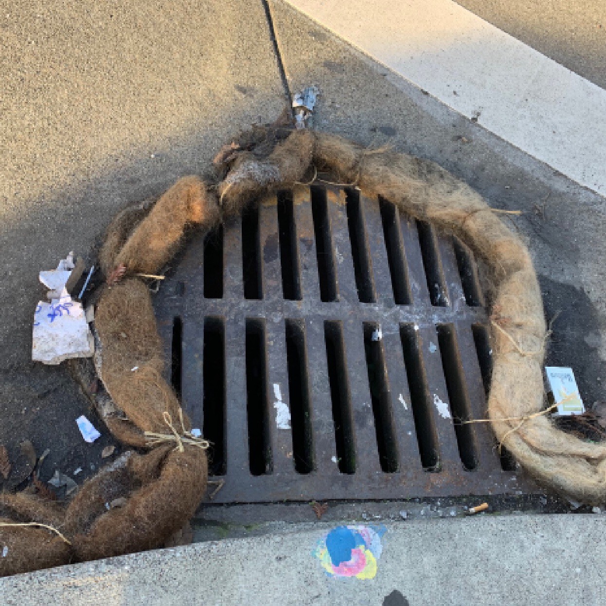 Tenemos un nuevo aliado para combatir los derrames de petróleo el pelo que dejamos en las