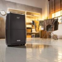 Adiós a la humedad con este deshumidificador silencioso 2 en 1 que evita la humedad y seca la ropa en días de lluvia