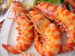 Langostinos de Sanlucar