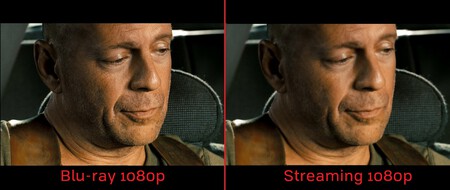 Jungla4 Copmarativa Copiar