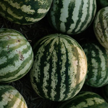 Caída de precios del melón y la sandía: empieza a haber demasiada fruta sin vender