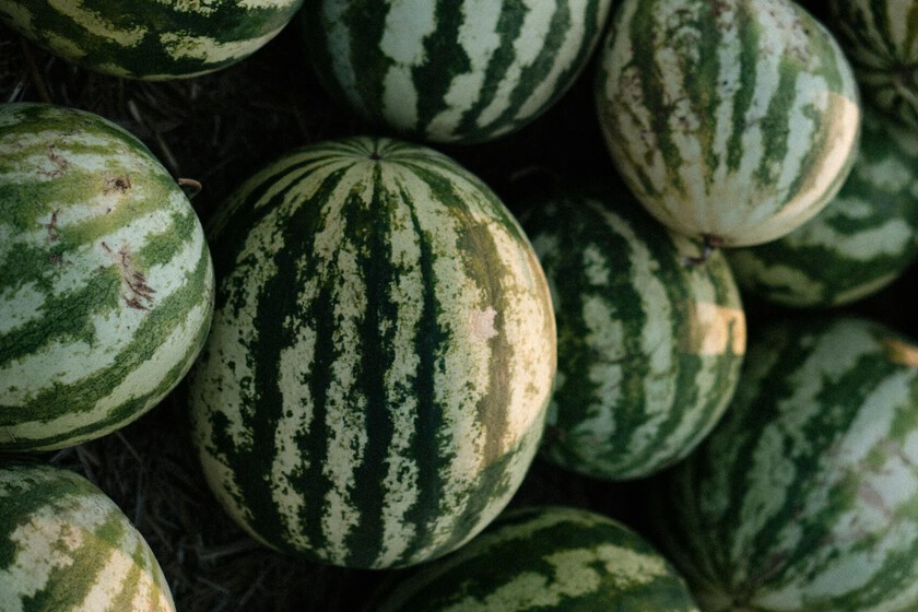 Precio Sandias Senegal