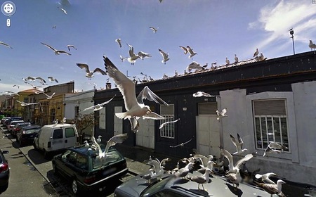 El extraño mundo a través de los ojos de Google Street View